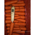 Wholesale sell fresh lowest carrot